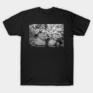 Mono Sandringham #2 T-Shirt